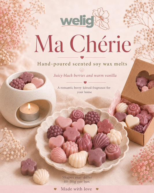 Welig Scented Soy Wax Melts & Burner Starter Set